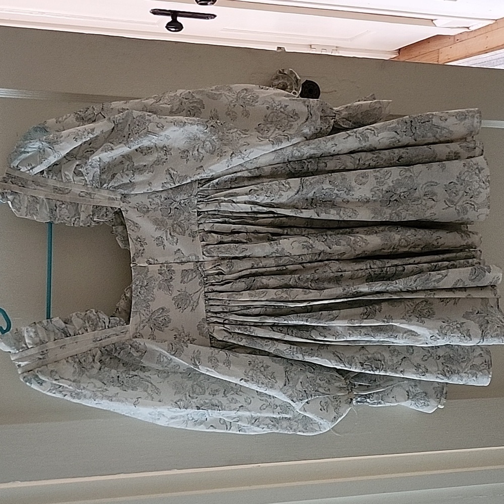 Austen Ever After Party Dress - Picture 5 of 5